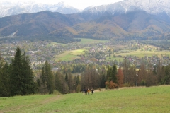 IMG_4807