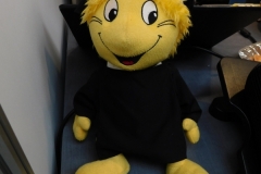 DSCN0333